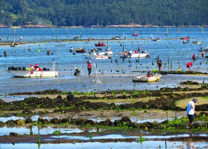 Nordes * Vilagarcia de Arousa