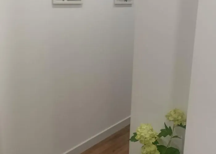 Nordes Vilagarcia de Arousa